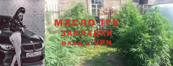прущие грибы Ахтубинск