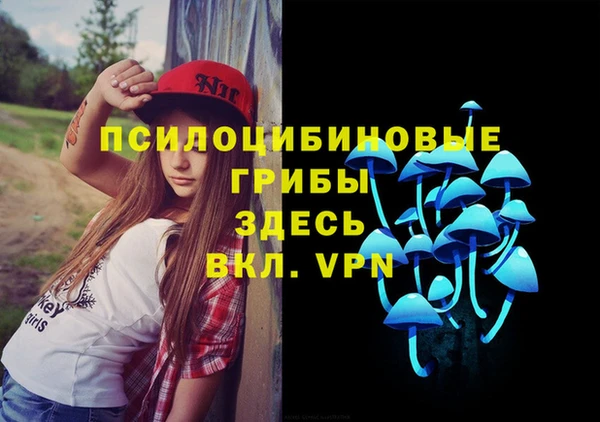 твердый Апатиты