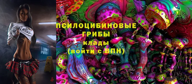 цена наркотик  Барабинск  shop какой сайт  Галлюциногенные грибы Magic Shrooms 