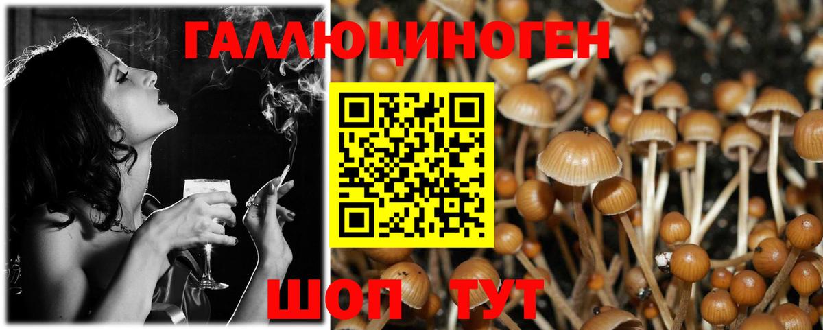 Барабинск  Псилоцибиновые грибы MAGIC MUSHROOMS  Вход с VPN 